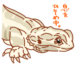 Bearded Dragon sticker #12369644