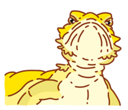 Bearded Dragon sticker #12369649
