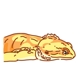 Bearded Dragon sticker #12369650