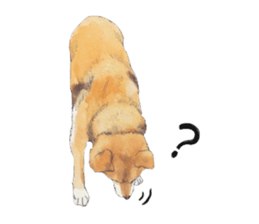 Boss of the dog. sticker #12370026