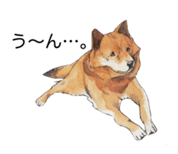 Boss of the dog. sticker #12370027