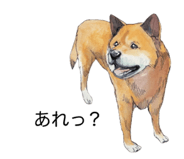 Boss of the dog. sticker #12370029