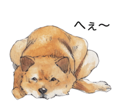 Boss of the dog. sticker #12370033