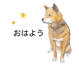 Boss of the dog. sticker #12370034