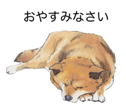 Boss of the dog. sticker #12370035