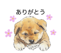 Boss of the dog. sticker #12370036