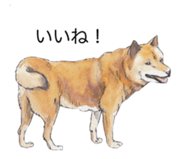 Boss of the dog. sticker #12370038