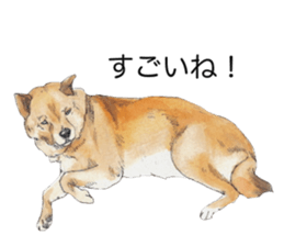 Boss of the dog. sticker #12370040