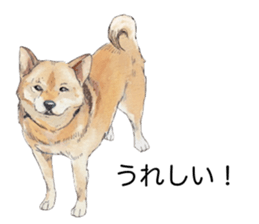 Boss of the dog. sticker #12370042