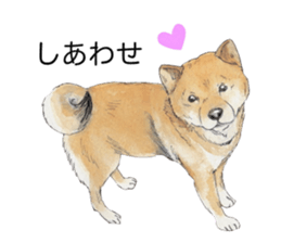 Boss of the dog. sticker #12370043