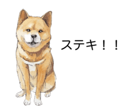 Boss of the dog. sticker #12370044