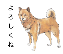 Boss of the dog. sticker #12370047