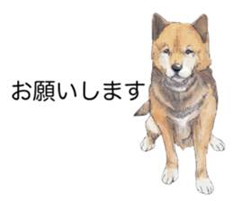 Boss of the dog. sticker #12370048