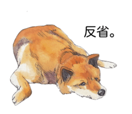 Boss of the dog. sticker #12370049