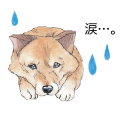 Boss of the dog. sticker #12370050