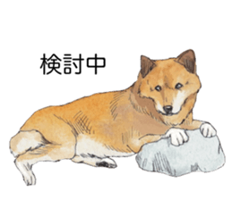 Boss of the dog. sticker #12370051