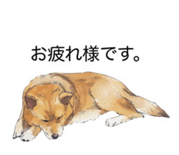 Boss of the dog. sticker #12370053