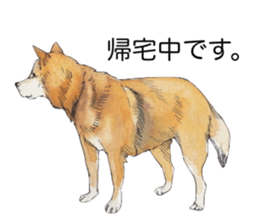 Boss of the dog. sticker #12370054