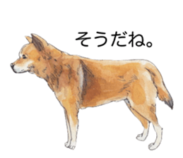 Boss of the dog. sticker #12370055