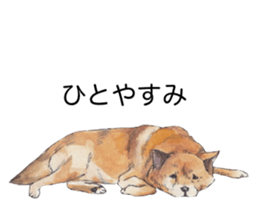 Boss of the dog. sticker #12370058