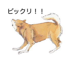 Boss of the dog. sticker #12370059