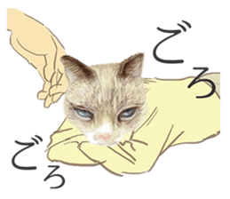 NEKO NEET sticker #12370382