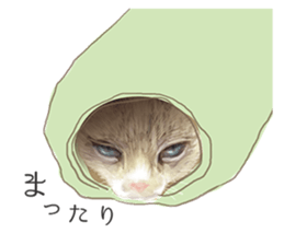 NEKO NEET sticker #12370389