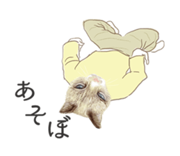 NEKO NEET sticker #12370393