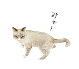 NEKO NEET sticker #12370403