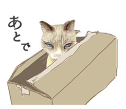 NEKO NEET sticker #12370420