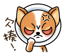 Bullhorn sticker #12371692