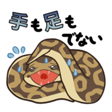 Ball Python (Snake-kun) sticker #12372388