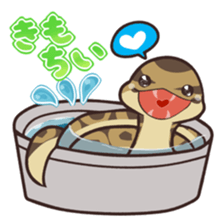 Ball Python (Snake-kun) sticker #12372394