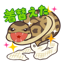 Ball Python (Snake-kun) sticker #12372410