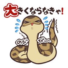 Ball Python (Snake-kun) sticker #12372411
