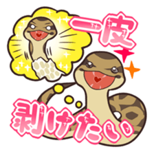 Ball Python (Snake-kun) sticker #12372412