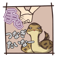 Ball Python (Snake-kun) sticker #12372413