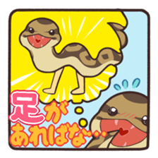 Ball Python (Snake-kun) sticker #12372415