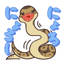 Ball Python (Snake-kun) sticker #12372417