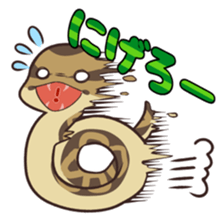 Ball Python (Snake-kun) sticker #12372421