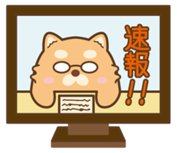 MaruKichi the 2-Sports- sticker #12372441