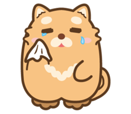 MaruKichi the 2-Sports- sticker #12372444