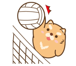 MaruKichi the 2-Sports- sticker #12372454