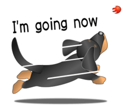 Every day with amusing Dachshund sticker #12377552