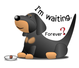Every day with amusing Dachshund sticker #12377557