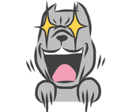 MOMO PITBULL sticker #12379263
