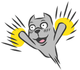 MOMO PITBULL sticker #12379264