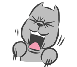 MOMO PITBULL sticker #12379265