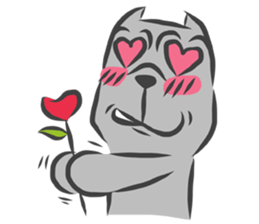 MOMO PITBULL sticker #12379273