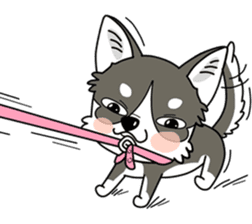 Meaw & Joey(Eng) sticker #12380423